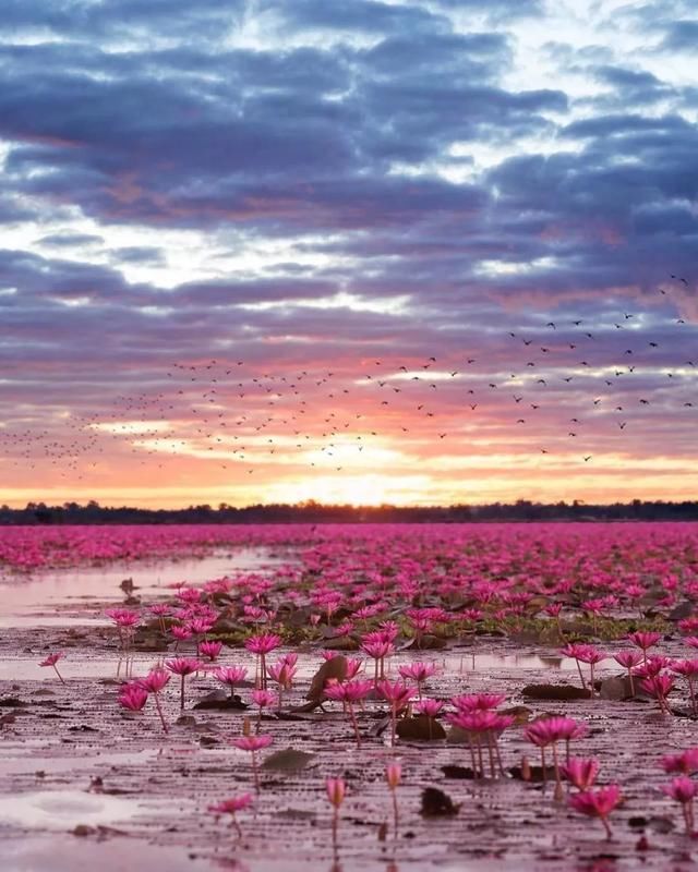 年末再添电子签,12月旅行不要停