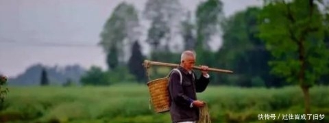  「心酸」心酸：七十多还在种地干活的农民有很多，农村养老到底