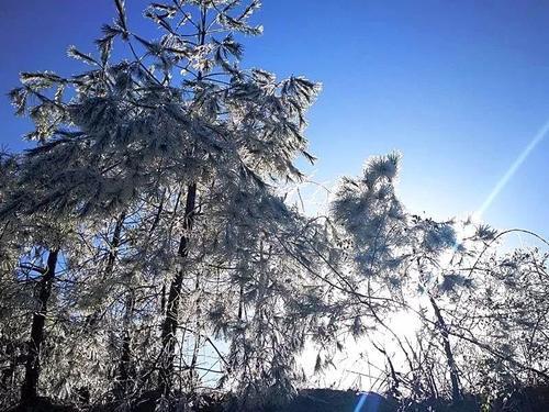 一大波美图正在向你袭来！鹰潭的雾凇让你一秒入仙境！