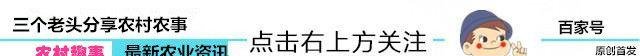在农村从事这5个行业的，个个都闷声赚大钱，尤其最后一个稳赚！