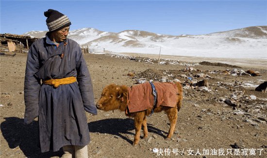  「差距」外蒙古与内蒙古牧民冬季生活的对比, 差距太大