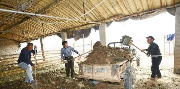 猪肉供应价格偏高，但却有专家提议禁止农户散养猪，孰对孰错