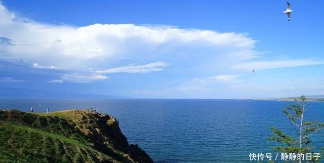 金色麦田俄罗斯或作出重大决策，可造福整个中国北方