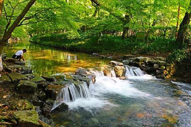 拍美照嬉水纳凉，九溪这两天特别好看，快去打卡
