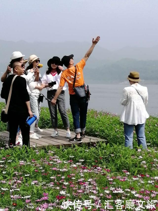 “五一”重庆慢时光，木洞10万㎡格桑花开，孤岛绿草成海！