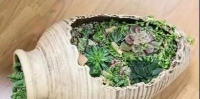  【破碗】一个破碗，长出一座小花园，看到它整个世界都亮了