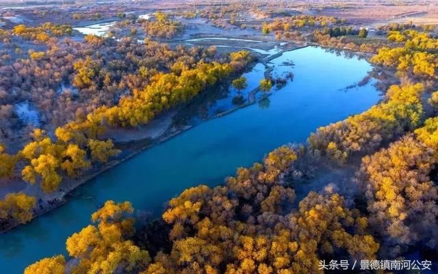 额济纳：中国最美的秋天！