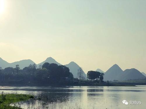 在贵州私藏的人间仙境里，做一场6000亩的樱花梦
