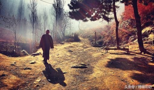 道士是假，房价暴涨是真，终南山不为人知的面目，最终还是露馅了