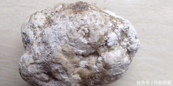 游客偶然拾到“石头”,不曾想到竟是龙涎香,估值一百多万!
