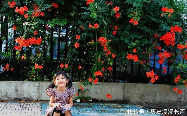 种植:此花,家中种几棵,美得不得了,丢土就能活,谁还养绿萝