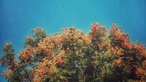 性格成熟，不会轻易动情的五位星座，不想输给别人，会好好珍惜