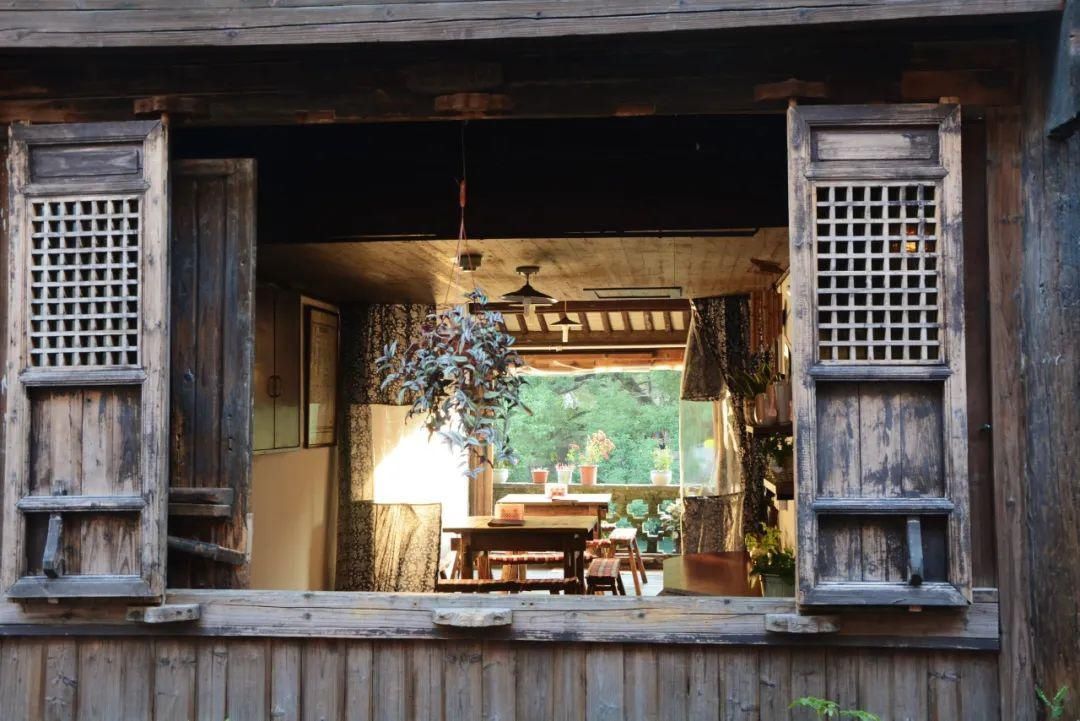  『荠菜』又是一年春食时！春天里的江南人，是如何把“鲜嫩”吃得出神入化的？