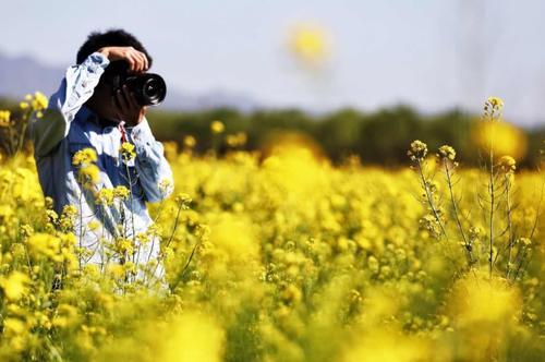 被春天叫醒的中国