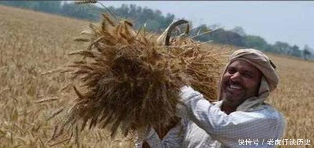 同是农民，同是种地，缘何美国农民个个富裕，差距在哪