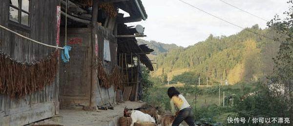 农村5大怪现象,城里人看不懂,老农民看不惯你们村有几种！