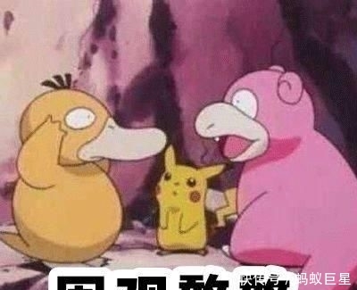 『重样』4款百元懒人卷发工具,一星期发型不重样!