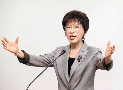 洪秀柱迁籍台南参选“立委”，国民党台南市议员：激励基层