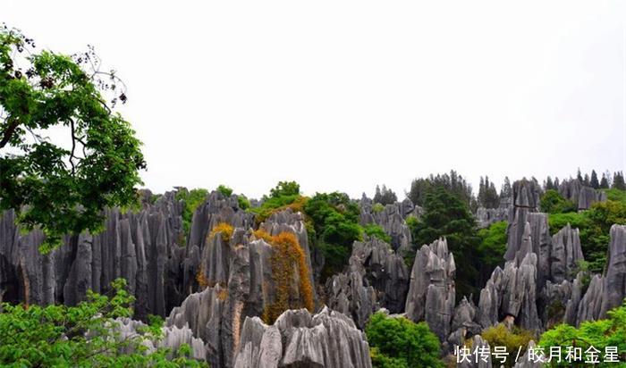 【相媲美】能跟云南石林相媲美,整个景区像一只大葫芦,自然景色十分迷人!