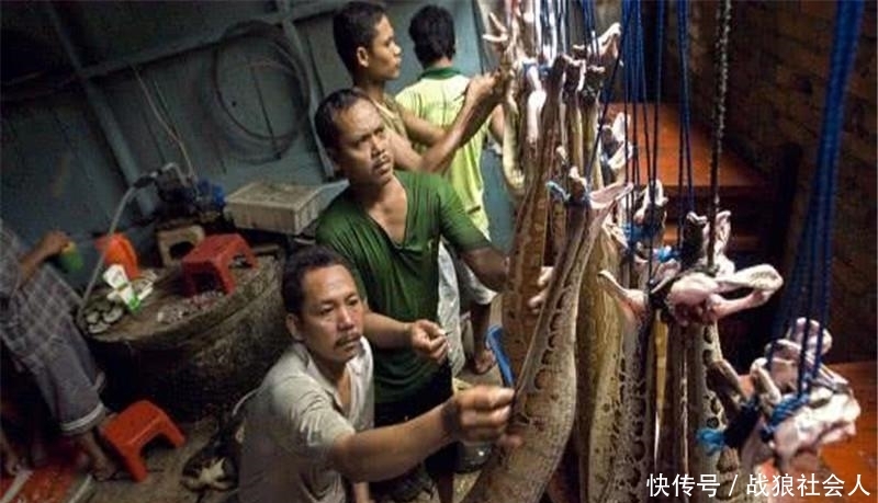 老挝菜市场的野生动物，堪比国内的动物园，当地人当真不保护动物