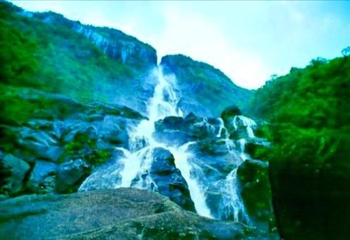 广东这个县是著名的“中国马水桔之乡”，你知道是哪里吗？