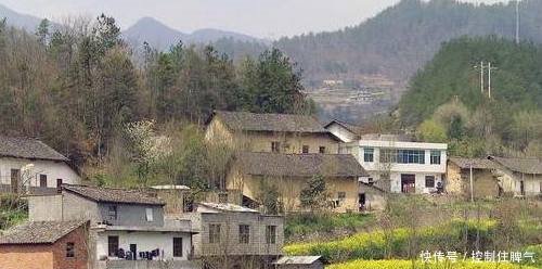 农村大叔，不愿再做电焊工，回家搭帐篷养起这个，称辛苦但挣钱