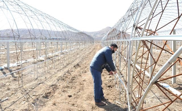  [建起]农民创富闯新路 建起百亩葡萄园