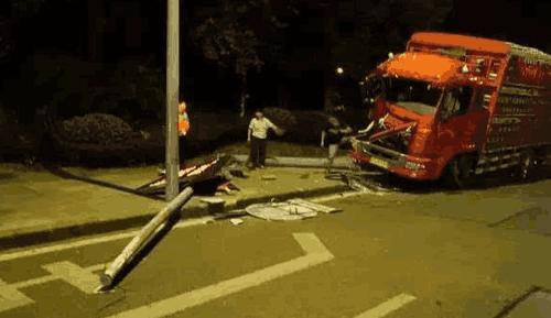 开车撞了狗用不用赔偿？交警给出最终解释，车主：再也不担心被讹