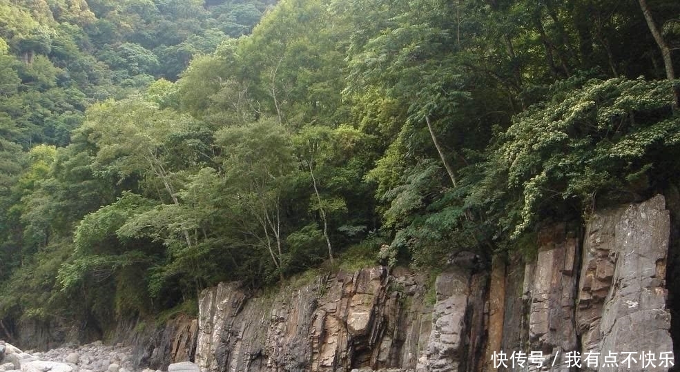 『香鱼』很多钓友不认识此鱼, 它被国际市场誉为“淡水鱼之王”