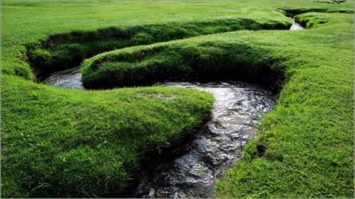 全世界最窄的河流！鱼挤着游过去，放本书就能当桥