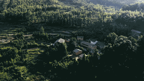 他在浙江大山里租6间房,花1500万装修,被村民嫌:太普通