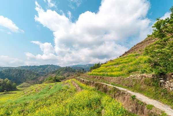 错开了高峰去桂林，去看那最美的龙脊梯田