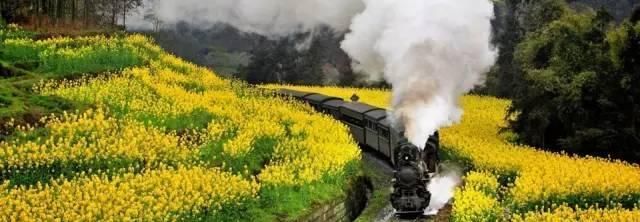 「慢慢」中国212个AAAAA景区全在这里, 存起来, 慢慢走完!