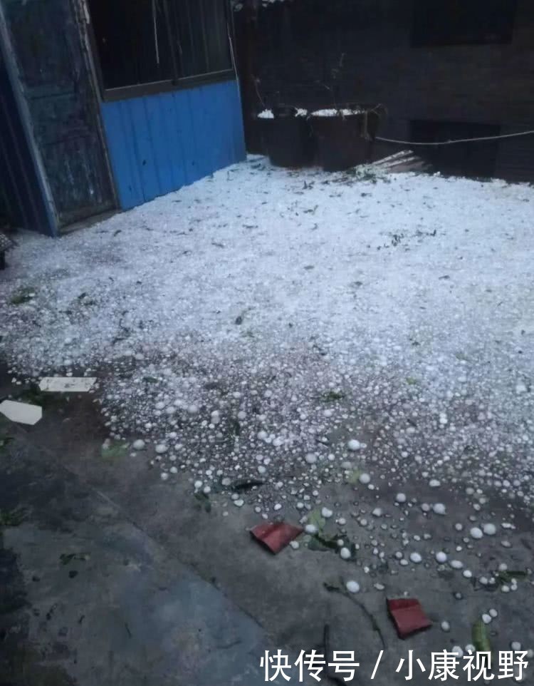  「遭遇」罕见！北方多省遭遇大霜冻，云南下冰雹！这些补救措施请查收！