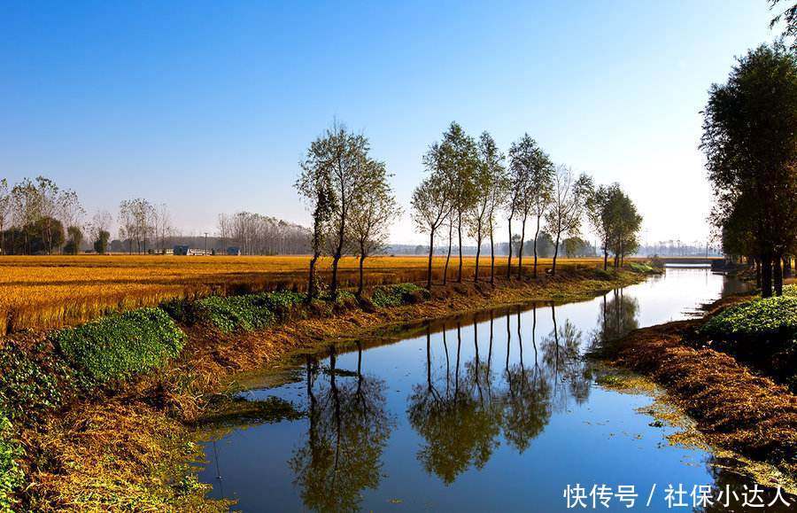  「转入」事业单位人员转入社保以后，工资待遇有什么变化？