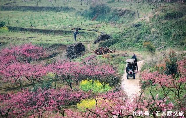 桂林的春天，已经把摄影师逼疯了，但大多数人去错了地方！