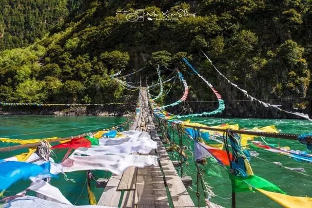 全国最大桃花基地！万亩花开成海，还不要门票！