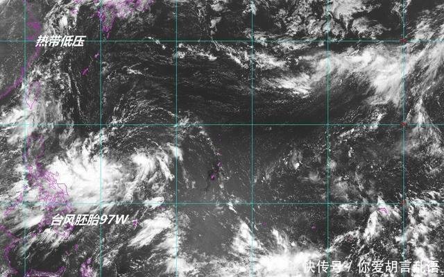 台风白鹿路径最新，台风白鹿登陆广东，11号台风白鹿最新情况
