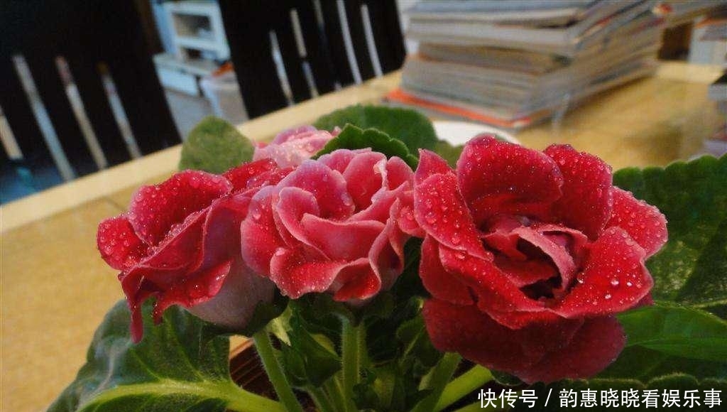 #家务#不会做家务,但是依旧被老公宠上天的三大星座女