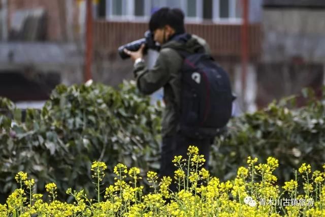 汉中青木川，油菜花已经开了!