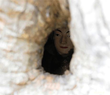 闽北小村子有棵千年古树，巴掌大的树洞里，竟藏了一尊佛像