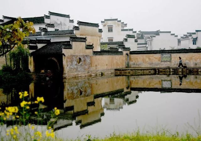美如画!徽州的春,满城花开,醉人心底~