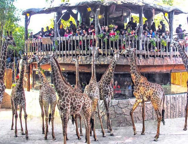 全国最良心的旅游大省，冬天20度，美食超多，因不宰客名扬天下！