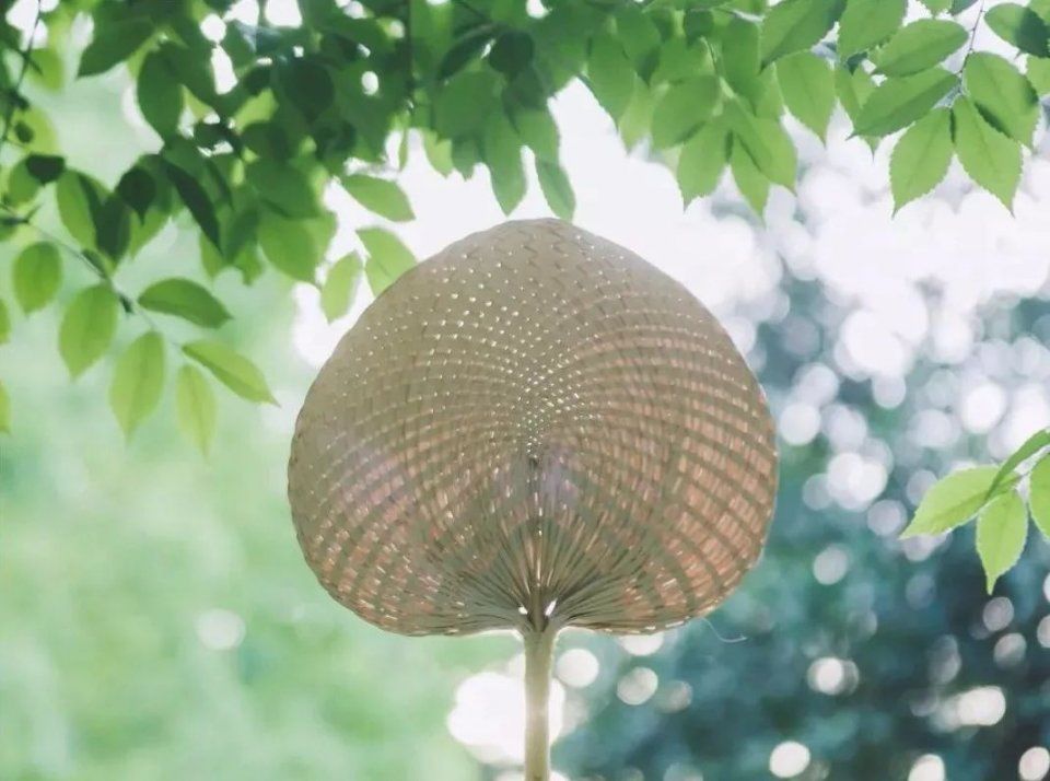 末伏将至!忽略这个步骤，湿热邪气一起找上门…