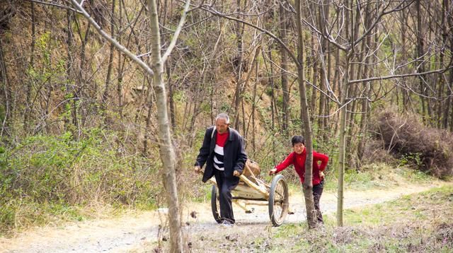  劳动@秦岭山阳安沟｜对于年轻人来说，春耕时劳动的场景，已经成了记忆