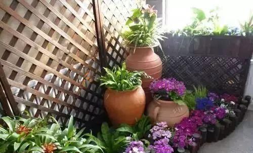  #花架#原来阳台还能这样种花, 一看就像个花园, 太漂亮了!