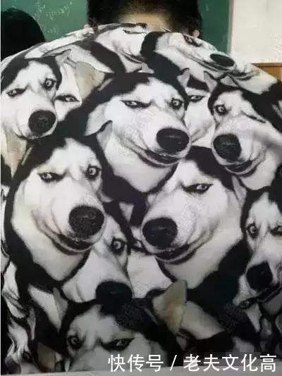 老婆说女孩子穿紧身裤好看，没办法，我就去给她买了一条