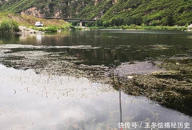 提早■提早一天打窝,垂钓时没有1条鱼上钩,从中总结出“四宗罪”