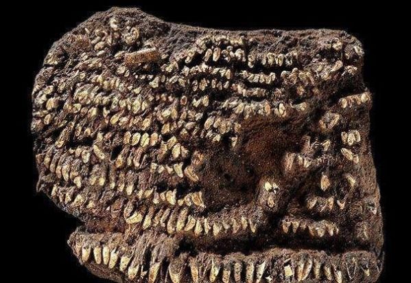 十一个现存世界上最古老的东西