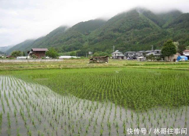 农村的房子没什么人住, 回乡建房还值不值 农民工说出了实情